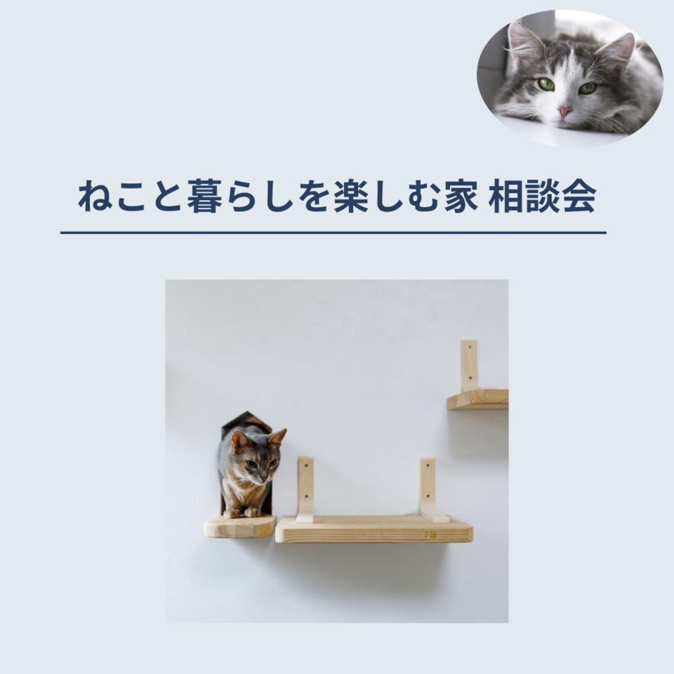 10月度ねこと暮らしを楽しむ家 相談会